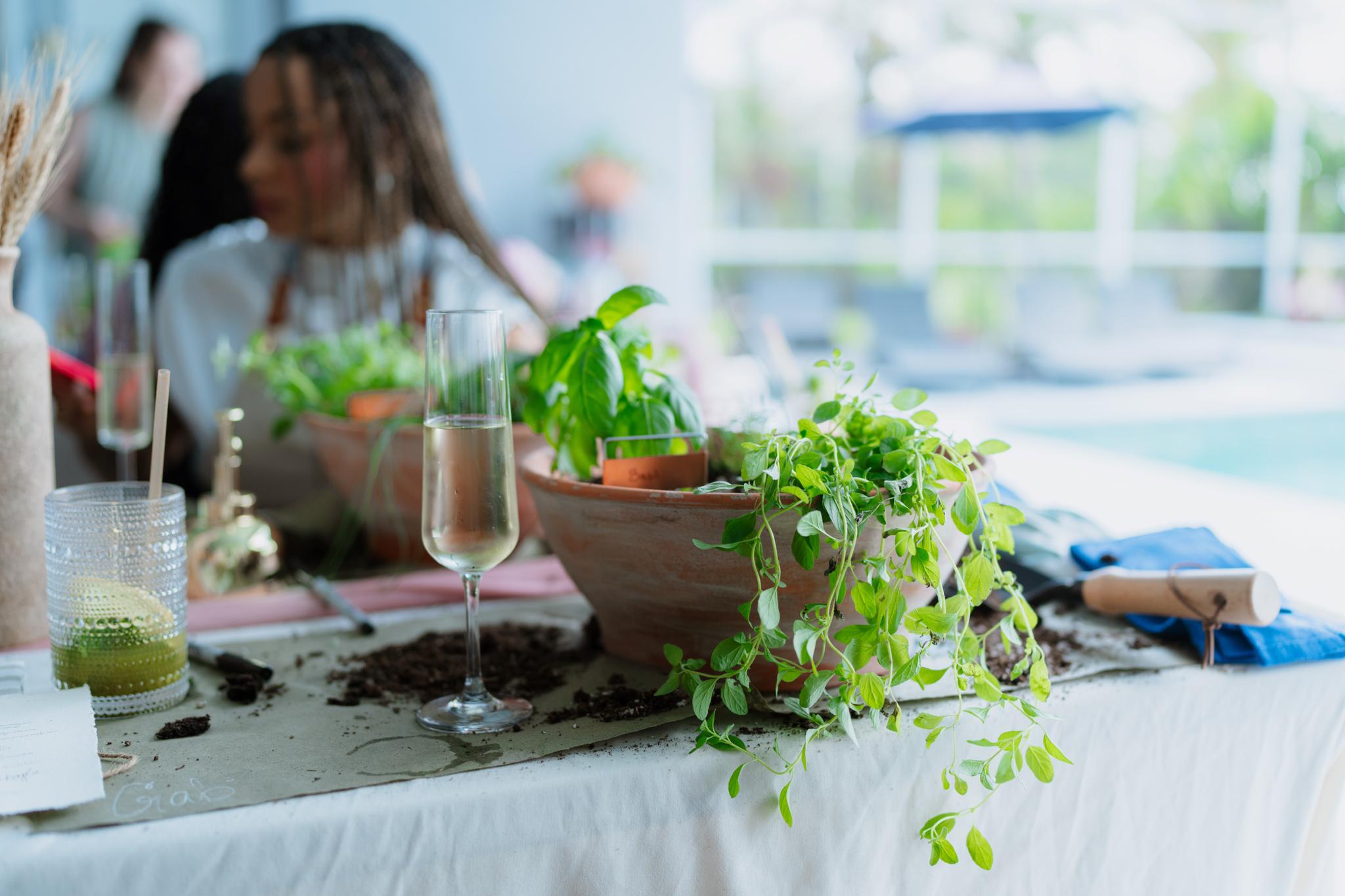 Botanical mocktails beside a keepsake herb planter